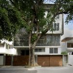 Cinnamon<br> <span>PALACE ORCHARDS</span>