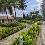 Hasiru<br><span>MYSORE</span>